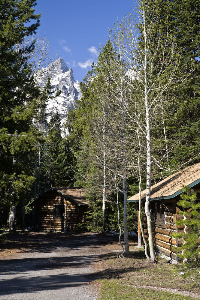 Jenny Lake Lodge Beaver Creek Bagian luar foto